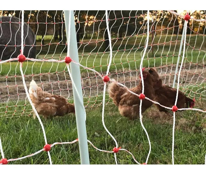 48IN POULTRY NETTING 82FT (25M) GALLAGHER